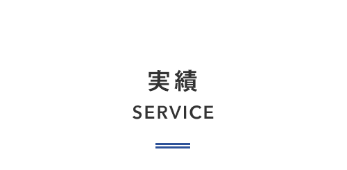 実績 SERVICE