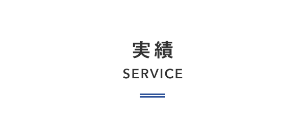 実績 SERVICE